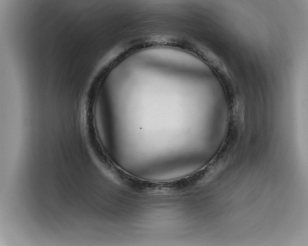 X0000113760730200910071131