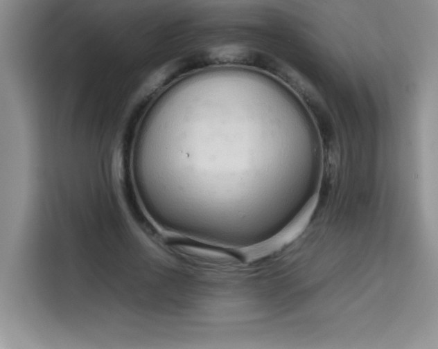X0000113760734200910071131