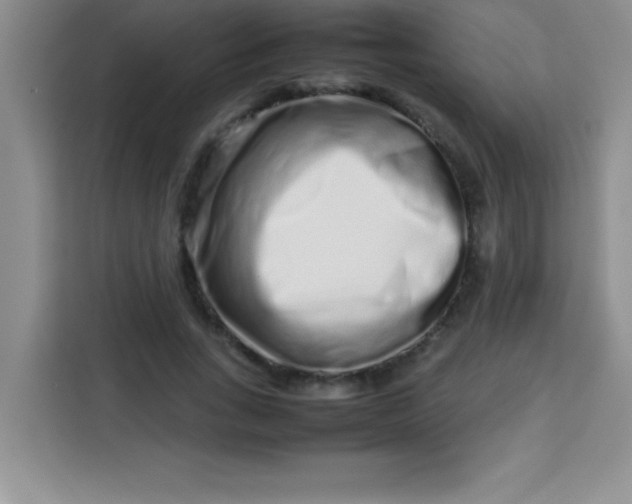 X0000113760735200910071131