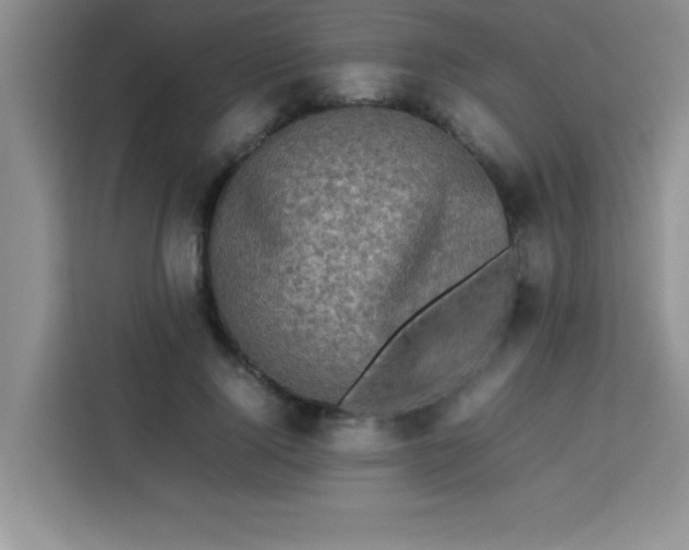 X0000113760740200910071131
