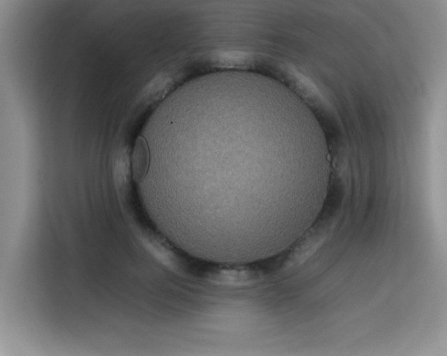 X0000113760744200910071131