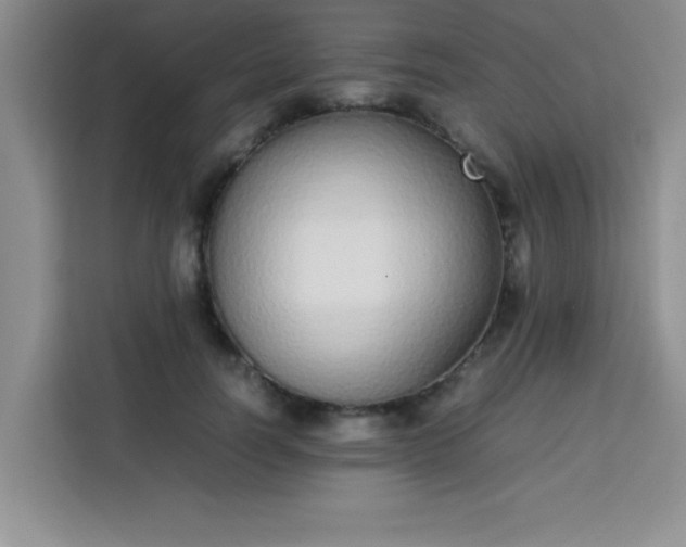 X0000113760746200910071131