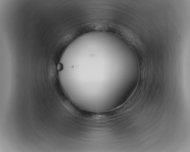 X0000113760748200910071131