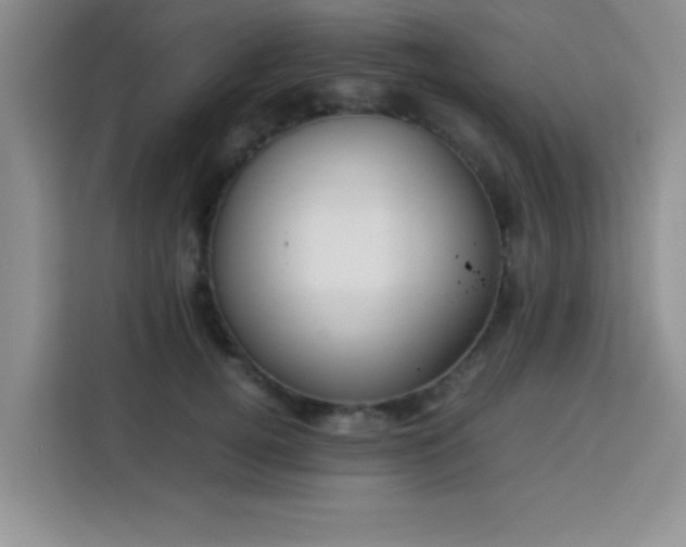 X0000113760752200910071131