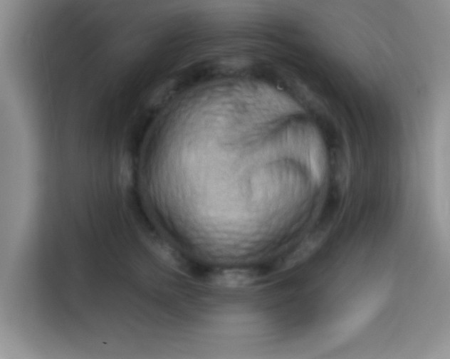 X0000113760758200910071131