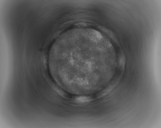 X0000113760759200910071131