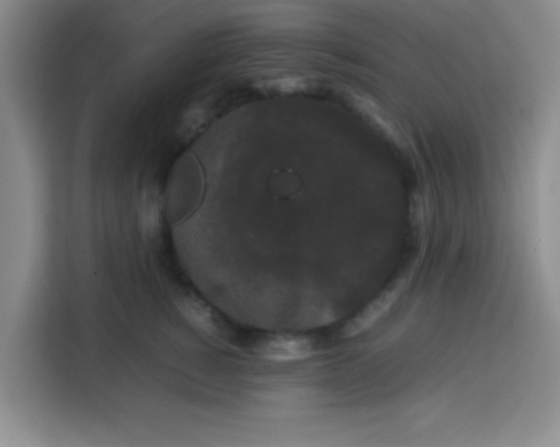 X0000113760760200910071131