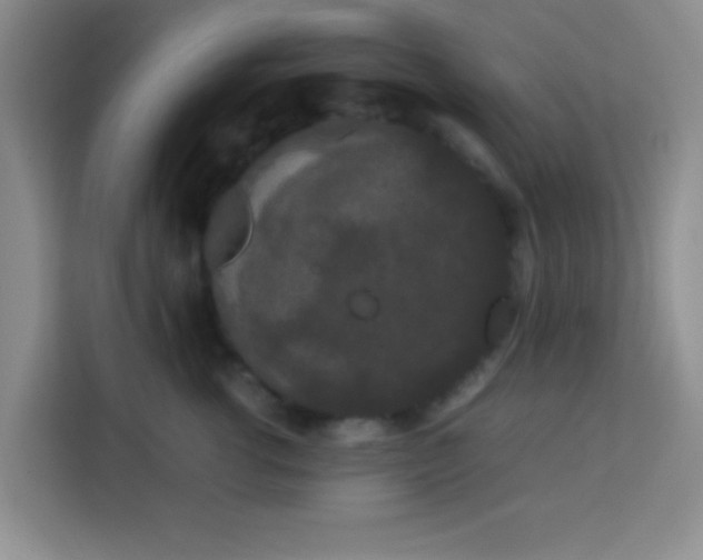 X0000113760762200910071131
