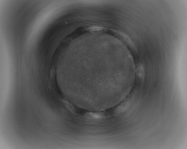 X0000113760763200910071131