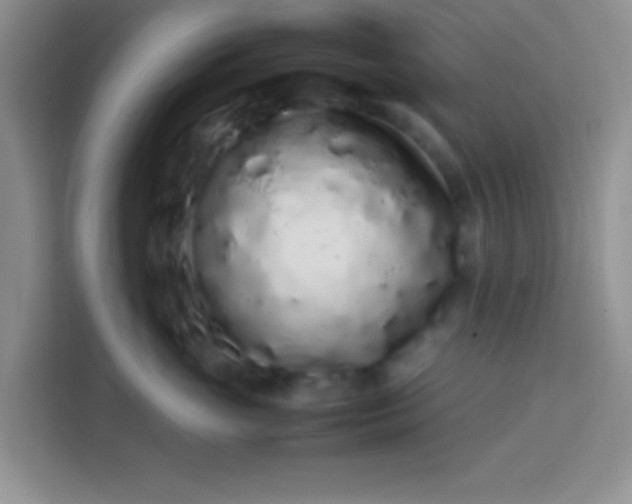 X0000113760765200910071131