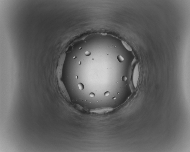 X0000113760769200910071131