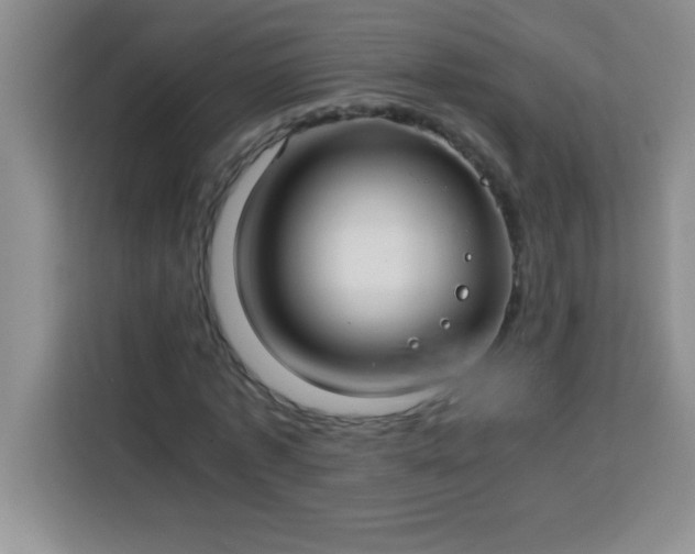 X0000113760773200910071131