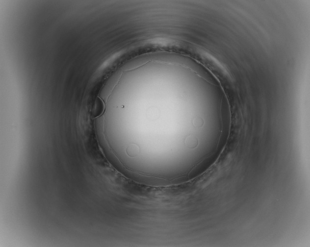 X0000113760776200910071131