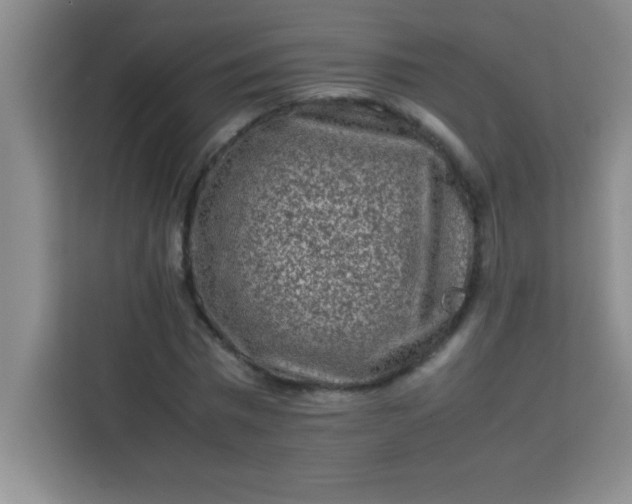 X0000113760777200910071131
