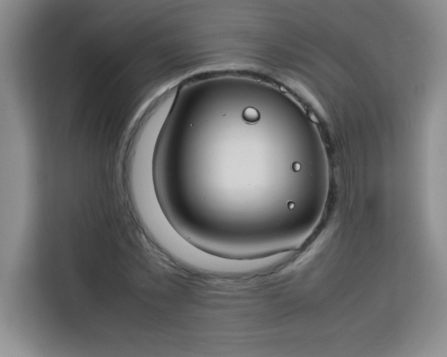 X0000113760781200910071131