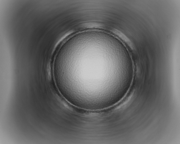 X0000113760782200910071131
