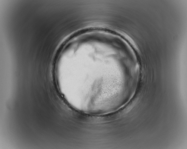 X0000113760783200910071131