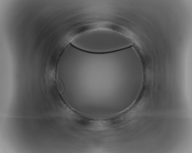 X0000113760785200910071131