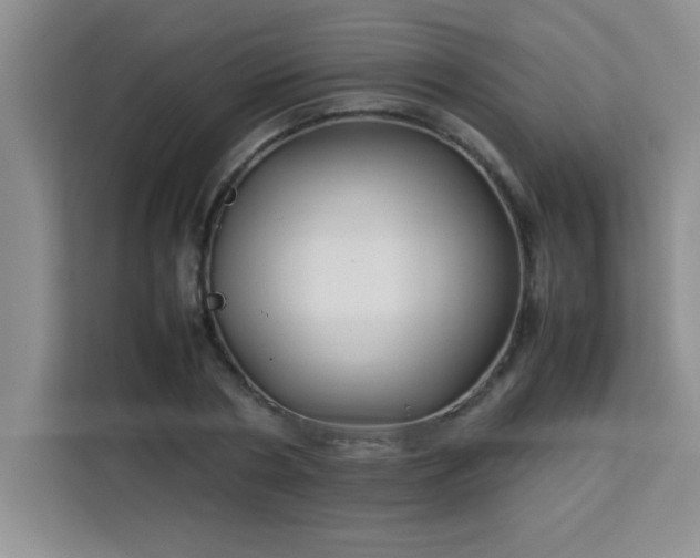 X0000113760786200910071131