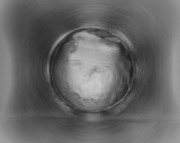 X0000113760788200910071130