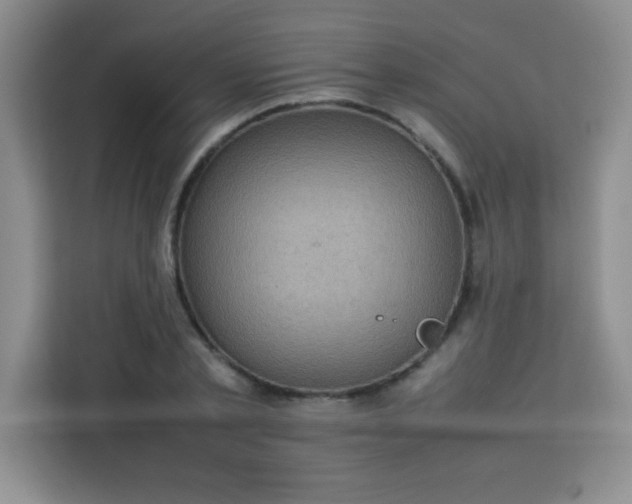 X0000113760789200910071130