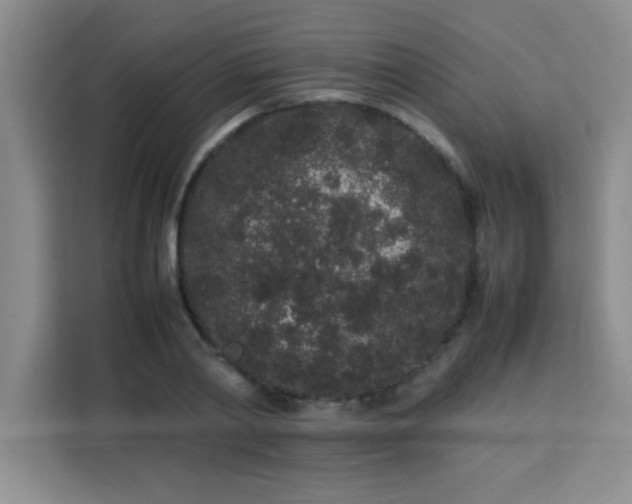 X0000113760790200910071130