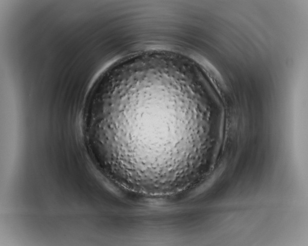 X0000113760798200910071130