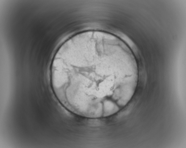 X0000113760807200910071130