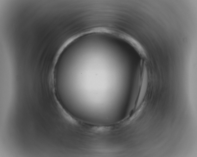 X0000113760808200910071130