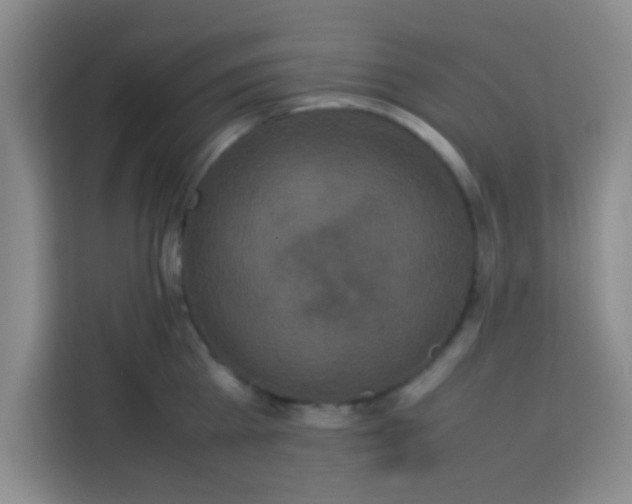 X0000113760809200910071130