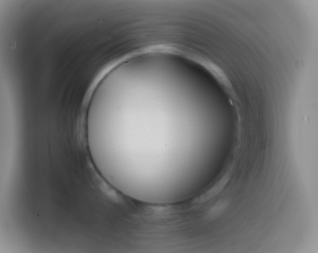 X0000113760816200910071130