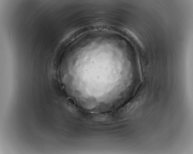 X0000113760823200910071130