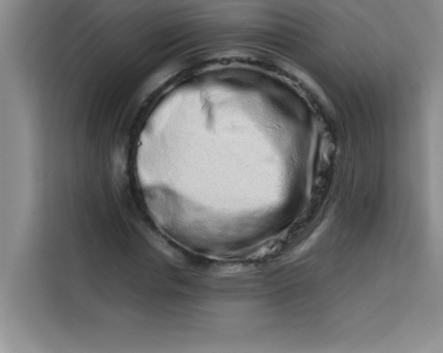 X0000113760826200910071130