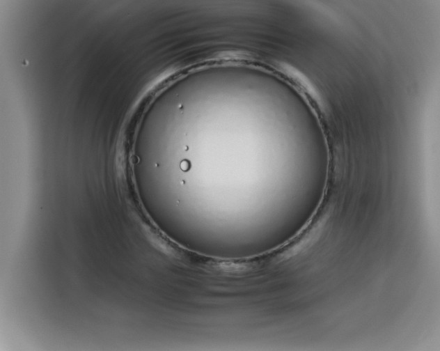 X0000113760827200910071130