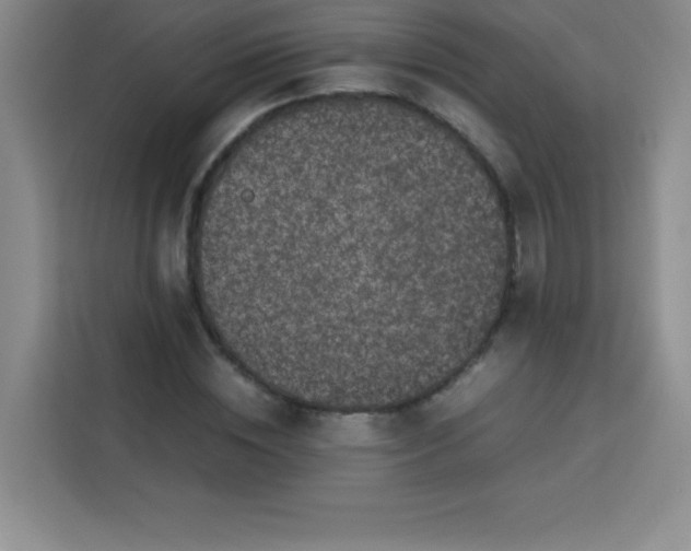 X0000113760828200910071130