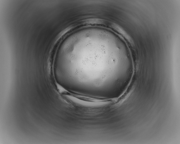 X0000113760829200910071130
