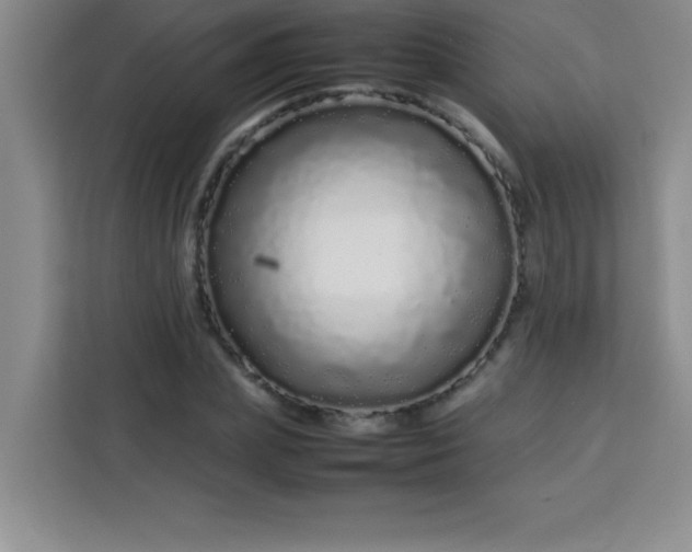 X0000113760831200910071130