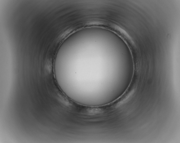 X0000113760833200910071130