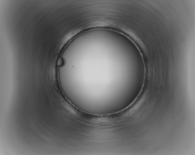 X0000113760834200910071130