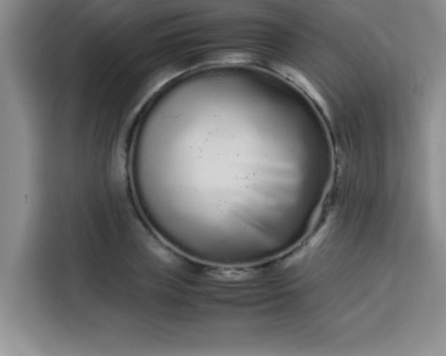 X0000113760835200910071130