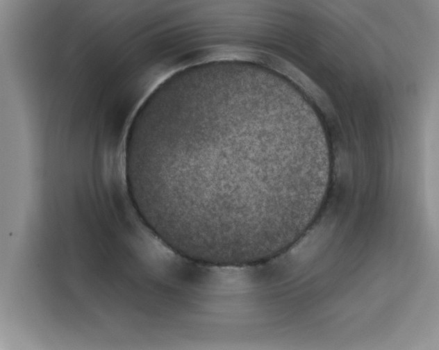 X0000113760836200910071130
