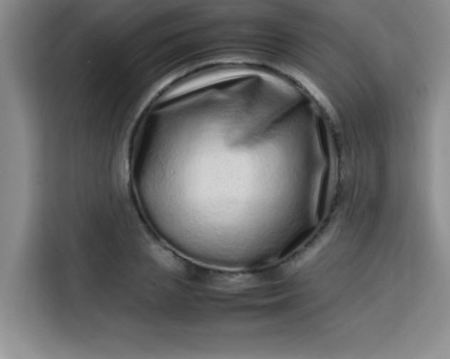 X0000113760837200910071130