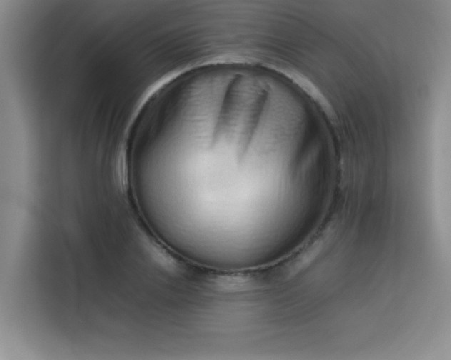 X0000113760838200910071130