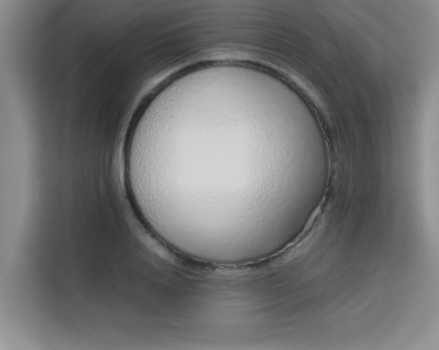 X0000113760840200910071130