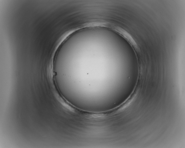 X0000113760844200910071130