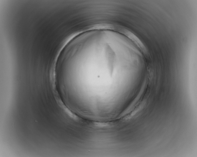 X0000113760852200910071130