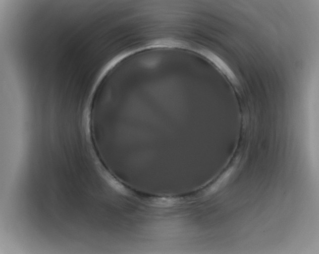 X0000113760854200910071130