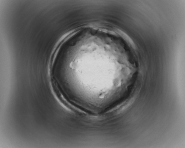 X0000113760855200910071130