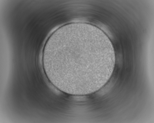 X0000113760856200910071130