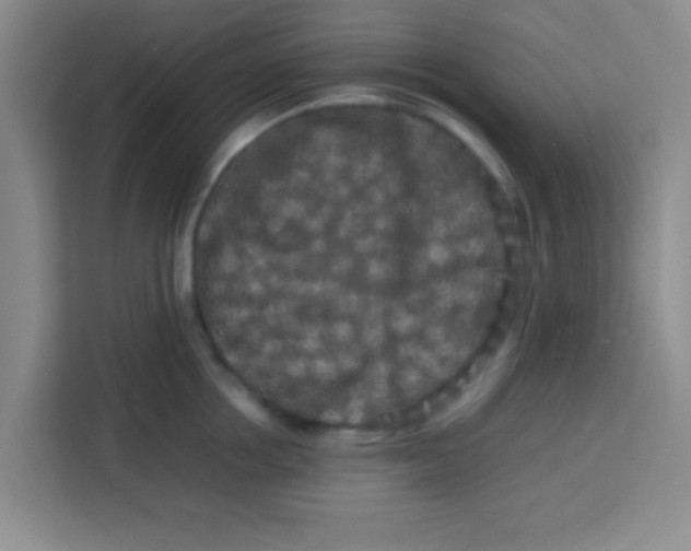 X0000113760858200910071130